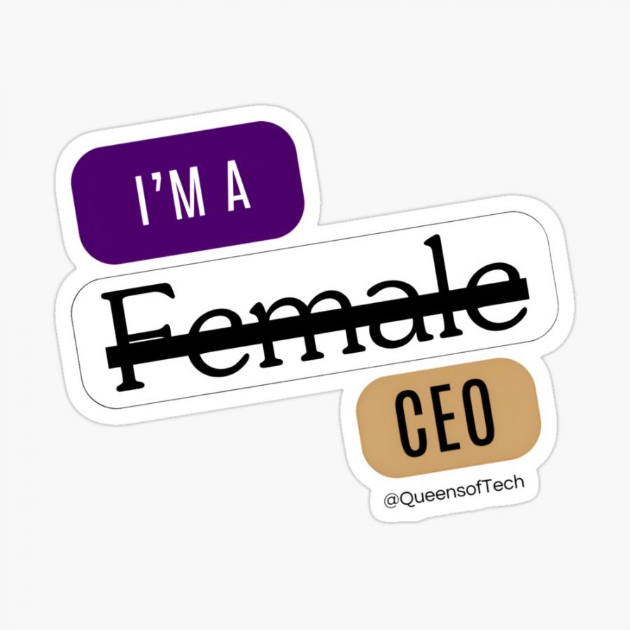 IM Not a Female CEO | Queens of Tech-sticker